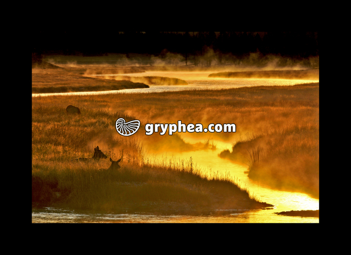 Sunrise at Yellowstone NP (Wyoming, USA) - gryphea.com